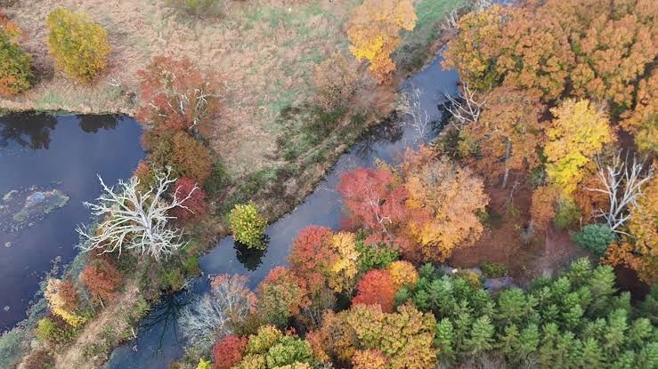 Aerial view of autumn foliage along a creek near Catskill, New York