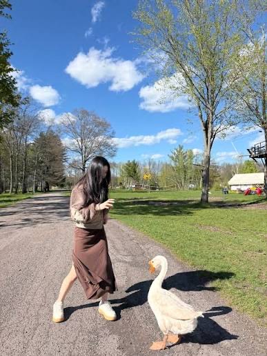 Guest walking along a quiet tree-lined lane on the spa grounds with a goose nearby